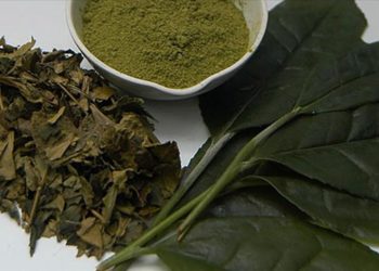 Flavonoid tüketimi yaşla bağlantılı zihinsel gerilemeyi azaltıyor