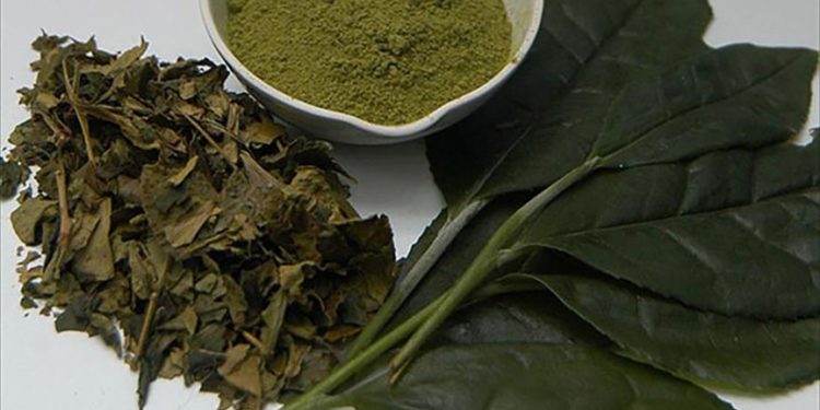 Flavonoid tüketimi yaşla bağlantılı zihinsel gerilemeyi azaltıyor