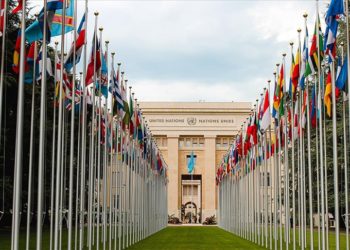 BM, spor organizasyonlarında ırkçılığı önlemek için çağrıda bulundu