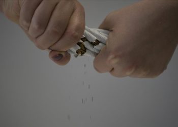 Tütünün doğada yarattığı zarar çevrim içi etkinlikle anlatıldı