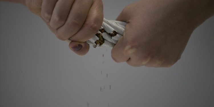 Tütünün doğada yarattığı zarar çevrim içi etkinlikle anlatıldı