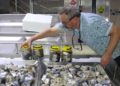 Sinop'ta balıkçılarca yapılan "lakerda" coğrafi işaret tescil belgesi aldı