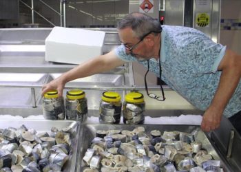 Sinop'ta balıkçılarca yapılan "lakerda" coğrafi işaret tescil belgesi aldı