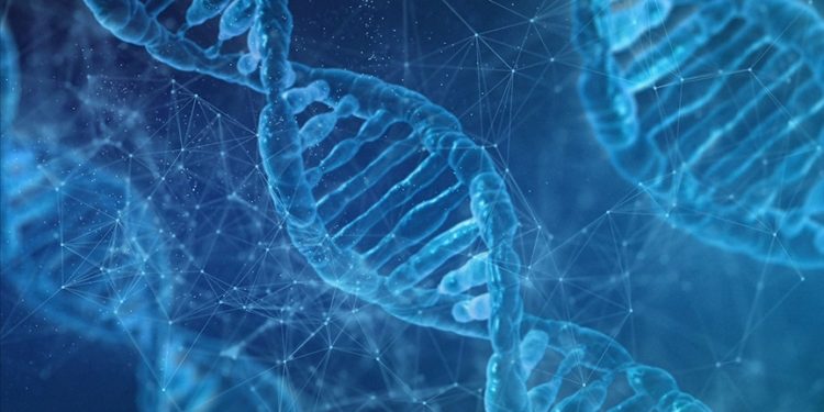 DNA haritası daha fazla insan grubunu kapsayacak şekilde güncellendi
