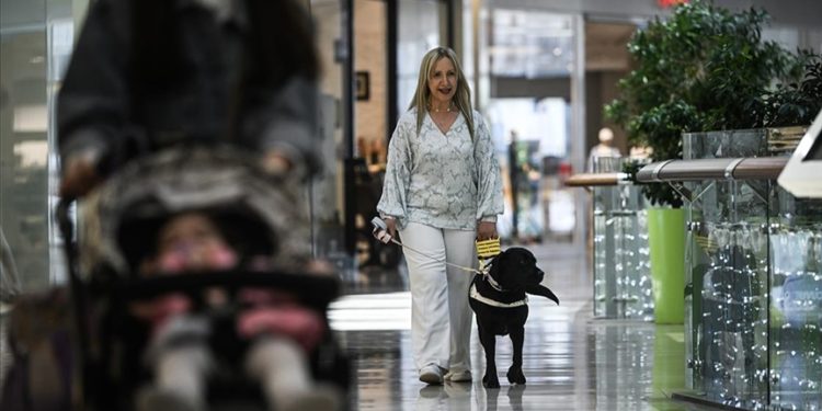 Rehber köpek “Esmer” sahibini alışverişte de yalnız bırakmıyor