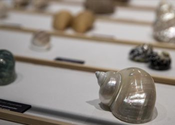 Hacettepe’de “Biyoçeşitlilik Araştırma ve Uygulama Merkezi Biyosfer Müzesi” kapılarını açtı