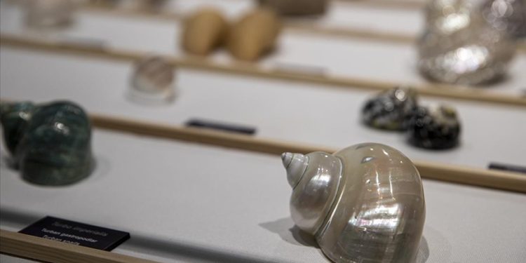 Hacettepe’de “Biyoçeşitlilik Araştırma ve Uygulama Merkezi Biyosfer Müzesi” kapılarını açtı