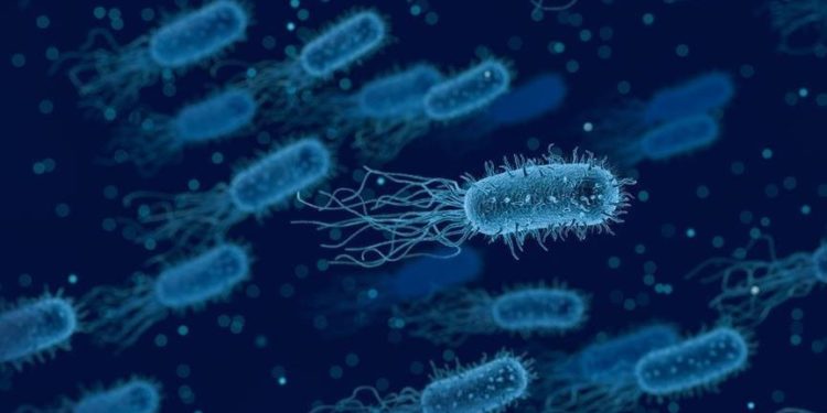 Bilim insanları, yapay zekayla süper bakteriye karşı yeni antibiyotik geliştirdi