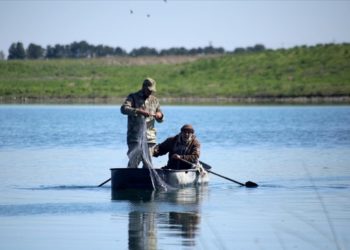 Tel Abyad’ın Belih Nehri’ndeki bereketlilik balıkçıları memnun etti