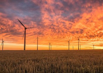 Rüzgar enerjisinde “teravat çağı” bu yıl başlayacak