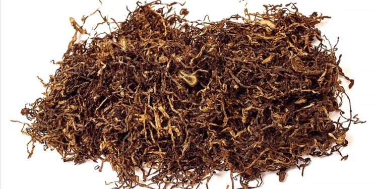 Dünya Sağlık Örgütüne göre, tütün yetiştirmek ve üretmek gıda güvensizliğini ağırlaştırıyor