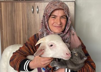 Oy kullanmaya kuzusuyla geldi