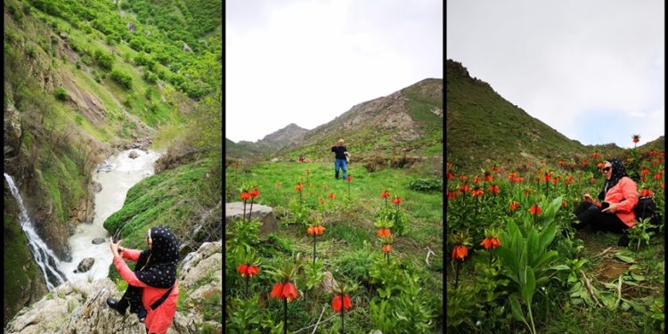 Hakkari'ye gelen doğaseverler, eşsiz doğal güzellikleri keşif gezilerine katıldı
