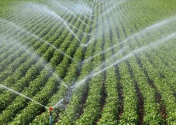 Çiftçilerin su kullanım bedeline yapılacak yüzde 50 indiriminin uygulama esasları belirlendi