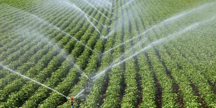 Çiftçilerin su kullanım bedeline yapılacak yüzde 50 indiriminin uygulama esasları belirlendi