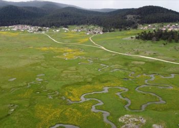 Sarıalan Yaylası, menderesler ve kır çiçeklerinin ahengiyle süslendi