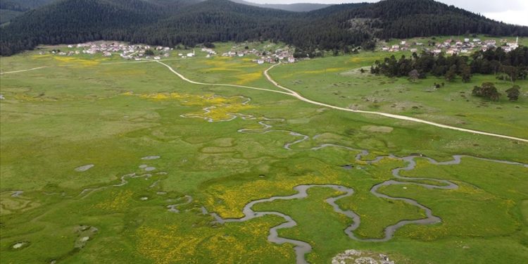 Sarıalan Yaylası, menderesler ve kır çiçeklerinin ahengiyle süslendi