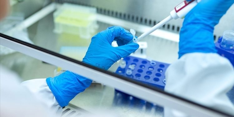 Bilim insanları, kanserin bağışıklık sisteminden nasıl kaçındığını buldu