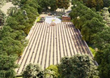 Kaş'ta "Tıbbi Aromatik Bitkiler İşleme ve Değerlendirme Merkezi" kuruluyor