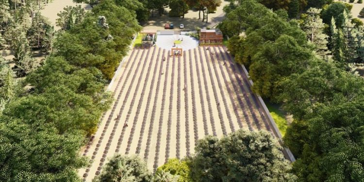 Kaş'ta "Tıbbi Aromatik Bitkiler İşleme ve Değerlendirme Merkezi" kuruluyor