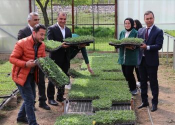 Erzincan'da öğrencilerin uygulama derslerinde ürettiği fideler satışa sunuldu