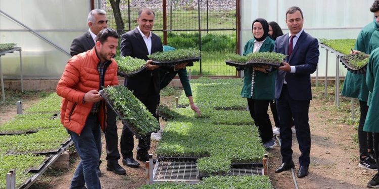 Erzincan'da öğrencilerin uygulama derslerinde ürettiği fideler satışa sunuldu