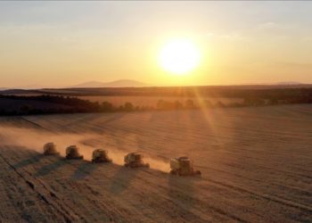 Hububat ve bakliyat ihracatı 4 ayda 3,8 milyar dolara ulaştı