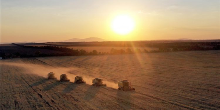Hububat ve bakliyat ihracatı 4 ayda 3,8 milyar dolara ulaştı