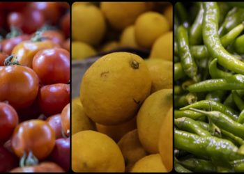 Türkiye nisanda 235,7 milyon dolarlık yaş meyve sebze ihraç etti