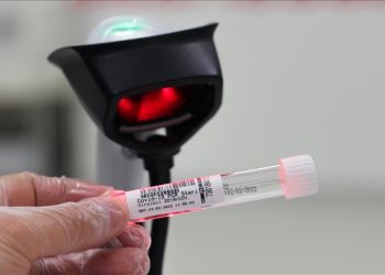 DSÖ, Kovid-19 araştırmalarına liderlik eden çalışanını cinsel istismar nedeniyle işten çıkardı