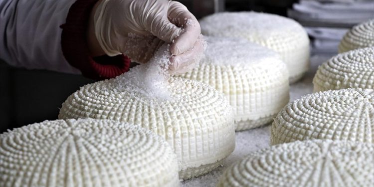 Tescilli Çerkez peyniri, Kalkınma Ajansı desteğiyle kurulan tesiste üretiliyor