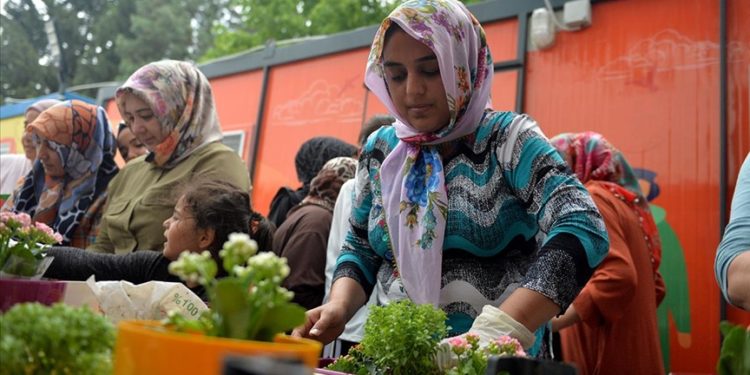 Kahramanmaraş'ta konteyner kentte kalan kadınlar çiçek dikti