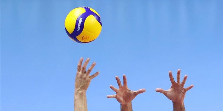 Filenin Efeleri "yoğun" çalışacak