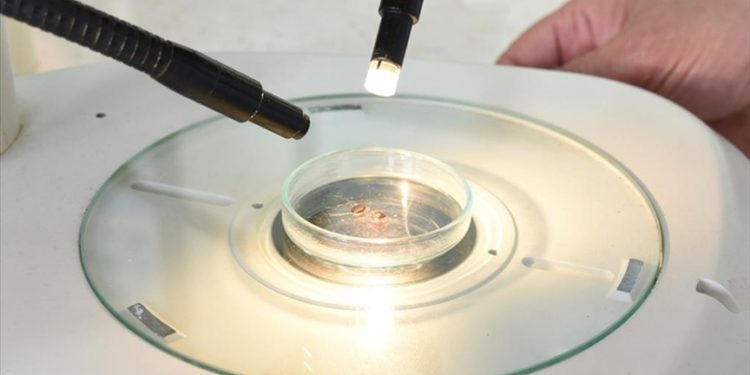 Uzmanlardan “Kenenin üzerine gaz yağı, benzin, çamaşır suyu dökmeyin” uyarısı