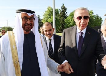 BAE Devlet Başkanı Al Nahyan’dan Cumhurbaşkanı Erdoğan ile görüşmesine ilişkin Türkçe paylaşım
