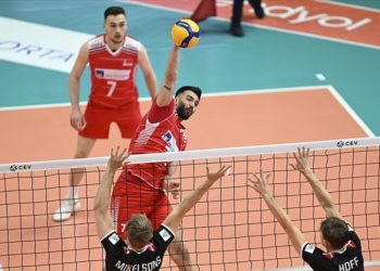 Filenin Efeleri, Dörtlü Final'de mücadele edecek