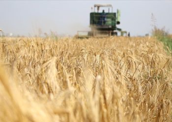 Tarımsal girdi fiyat endeksi nisanda aylık yüzde 0,63, yıllık yüzde 40,2 arttı