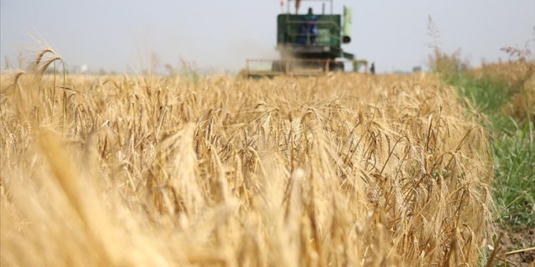 Tarımsal girdi fiyat endeksi nisanda aylık yüzde 0,63, yıllık yüzde 40,2 arttı