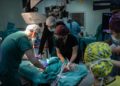 Bir kilo 600 gram doğan bebek, nadir yapılan ameliyatla “körlük” riskinden kurtuldu