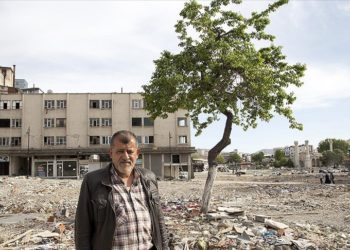 Depremde yıkılan çay ocağından geriye kalan kayısı ağacından vazgeçemiyor