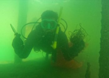 Muğla'daki İztuzu Plajı'nda deniz dibi temizliği yapıldı