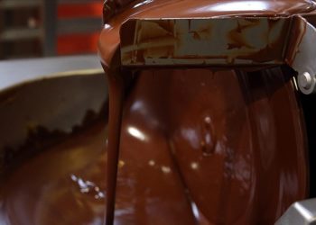 Belçika'da yine salmonella vakası tespit edildi