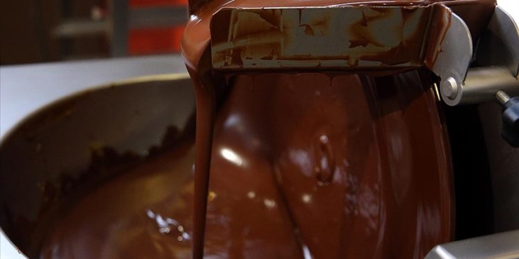 Belçika'da yine salmonella vakası tespit edildi