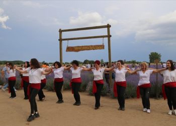 Edirne'de lavanta tarlalarındaki mor çiçekler içinde "damat halayı"