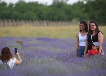 Edirne’nin “mor turizmi” diye adlandırılan “6. Lavanta Tarla Günleri” başladı