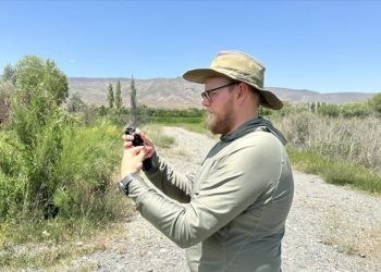 Aras Kuş Cenneti’nde sazlıklar yandı kuş sayısı düştü