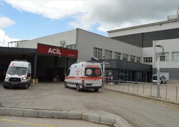 Doğadan toplanan zehirli mantar tüketimi acil servisleri meşgul ediyor