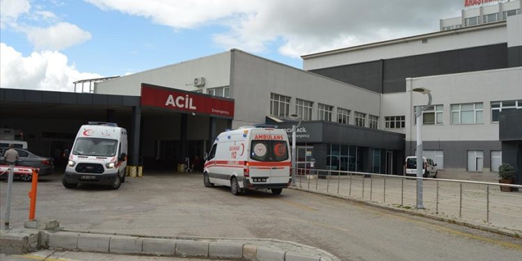 Doğadan toplanan zehirli mantar tüketimi acil servisleri meşgul ediyor