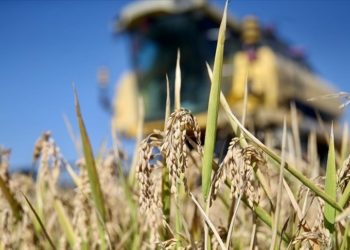 "Uzman Eller Projeleri"nde hibe desteği alacak başvurular belirlendi