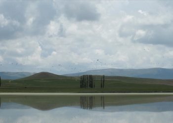 Sivas'ta geçen yıl tamamen kuruyan Tecer Gölü yağışlarla yeniden canlandı